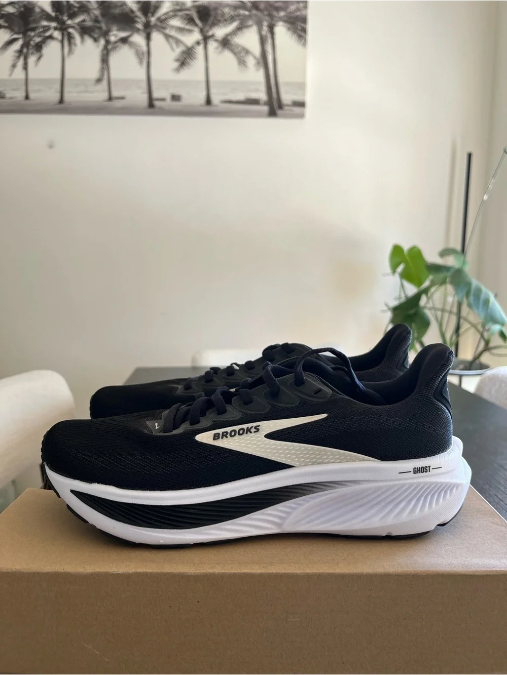 Brooks Black & White Ghost Running Shoes